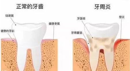 图片4.jpg 图片4.jpg